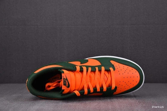 Nike Low DD1391-300 Dunk Hurricanes Miami 1027